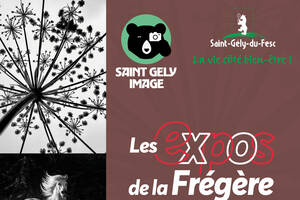 photo 2ème exposition photo annuelle de Saint-Gély Image