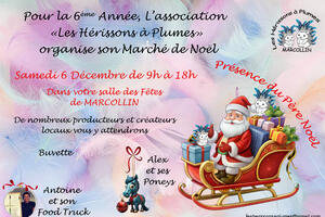 Marché de Noel des Hérissons à Plumes