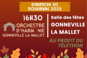 photo Concert de Ste Cécile 2025