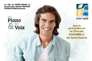 photo concert Amaury Vassili