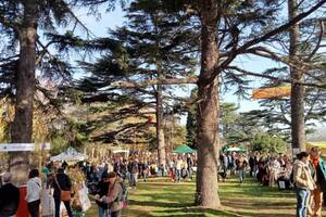 Fête de l'Arbre