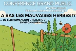 Conférence grand public