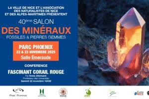40e Salon des minéraux, fossiles et pierres gemmes