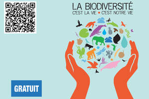Regards Croisés sur la Biodiversité : Exposition & Immersion Numérique