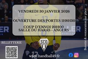 photo Match de Gala à l'occasion du 60e anniversaire du Comité de handball du Maine et Loire