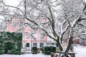 photo Vive les premiers dimanches du mois chez Voltaire