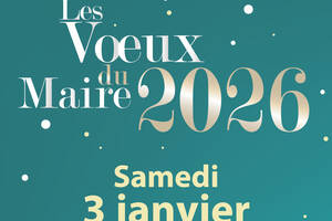 photo Voeux du Maire