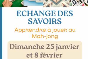 photo Echange des savoirs : Apprendre à jouer au Mah-jong