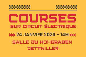 photo Courses de voitures slot car