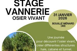 photo stage osier vivant