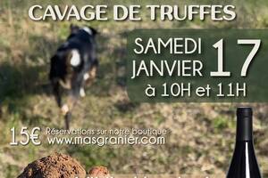 photo Démonstration de cavage de truffes et dégustation de vieux millésimes