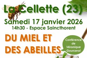 photo Conférence Miel et Abeilles