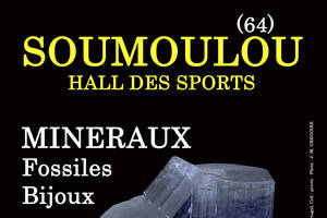 photo 16e SALON MINERAUX FOSSILES BIJOUX de SOUMOULOU (64)