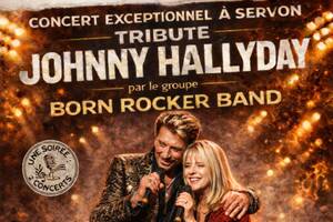 photo Une soirée 2 concerts hommages : France GALL et Johnny HALLYDAY a SERVON