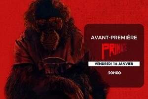 photo Avant-première : Primate