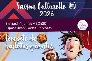 Tempête de boulettes géantes