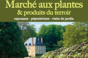 photo Marché aux plantes et produits du terroir