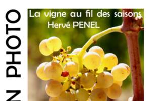 Exposition de photos