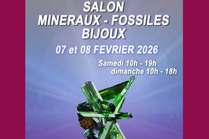 Salon minéraux, fossiles, bijoux de créateur et bien-être.