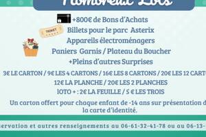 LOTO AMICALE PARENTS ELEVES BOËSSE-LE-SEC