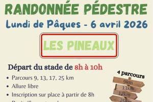 Randonnée pédestre Les Foulées Pineaulaises