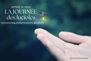 Portes ouvertes Luciole espace pluridisciplinaire bien-être