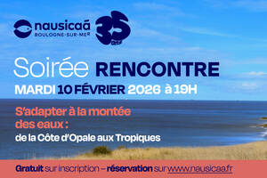 photo S’adapter à la montée des eaux : de la Côte d’Opale aux tropiques