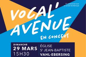 photo Concet caritiatif de Vocal'Avenue