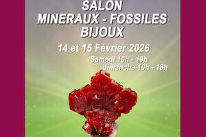 Salon minéraux, fossiles, bijoux de créateur.