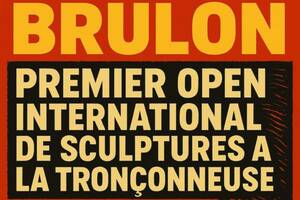 photo OPEN INTERNATIONAL de Sculptures à la Tronçonneuse