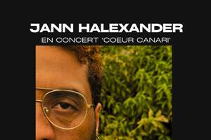 photo Jann Halexander en concert 'Coeur Canari' à la Camillienne, 13/03/2026