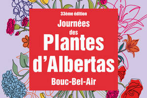 Du 29 au 31 mai 2026 un week-end dédié aux plantes rares aux Jardins