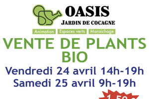 photo Vente de Plants Bio à OASIS Jardin de Cocagne