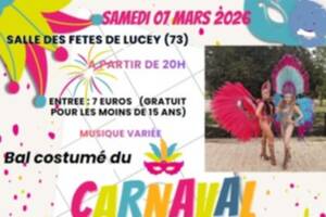 Bal costumé du carnaval