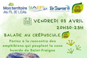 photo Balade au crépuscule, à la découverte de la biodiversité du Marais de Saint-Fraigne