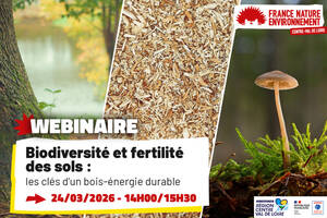 photo Webinaire