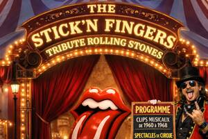 A ROCK'N ROLL CIRCUS - UNE PLONGEE DANS LES SIXTIES