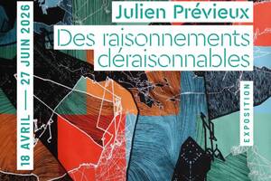Des raisonnements déraisonnables - Julien Prévieux