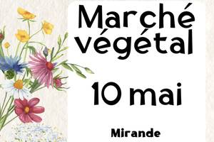 Marché végétal