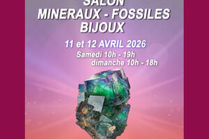 Salon minéraux, fossiles, bijoux de créateur.
