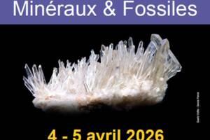 photo 36ème Bourse vente minéraux fossiles pierres naturelles à CASTELGINEST