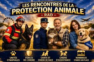 LES RENCONTRES DE LA PROTECTION ANIMALE