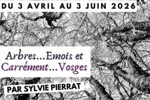 Exposition