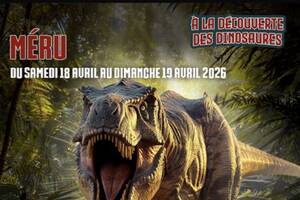 À la découverte des dinosaures