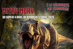À la découverte des dinosaures