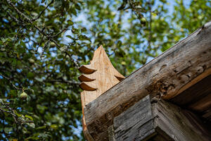 photo Éveillez le printemps