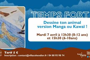 Dessine ton animal version manga ou kawaï