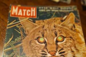 Brocante 12 avril à IZIEU (01300) de 10 à 18 H