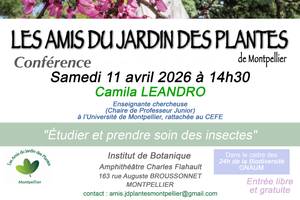Conférence « Étudier et prendre soin des insectes »