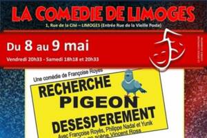 Recherche pigeon désespérément à La comédie de Limoges